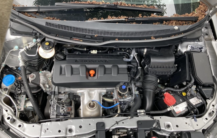 fuel filter replacement