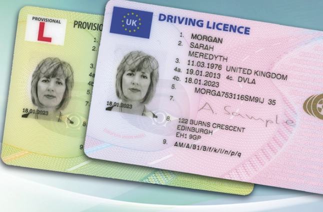 driver's license requirements