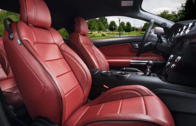 car upholstery cleaning