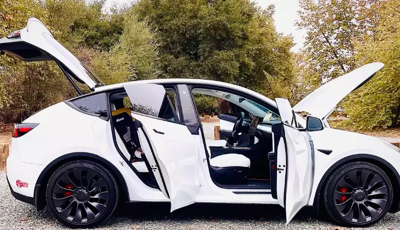 Model Y Performance 2024